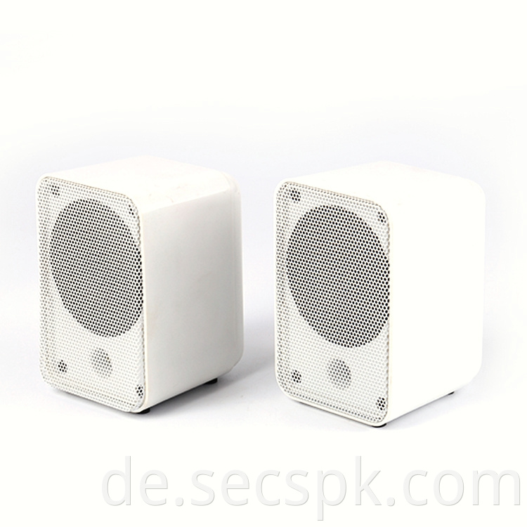 Plastic Desktop Speaker Box